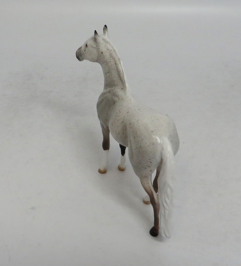 THUNDER STORM - OOAK FLEA BITTEN GREY ANDALUSIAN CHIP SHCF2018