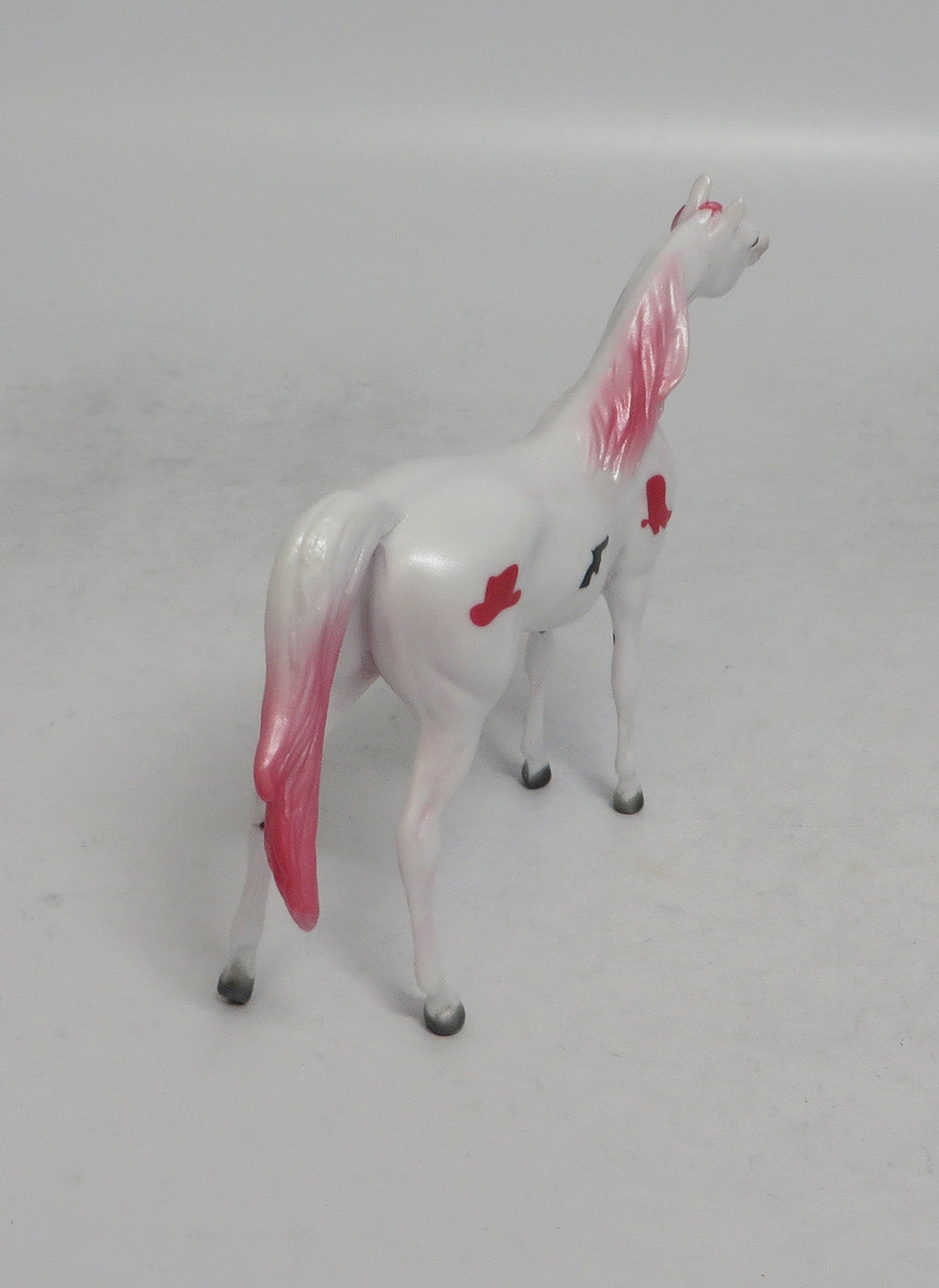 RED RIDER - OOAK WESTERN DECORATOR ARABIAN CHIP SHCF2018