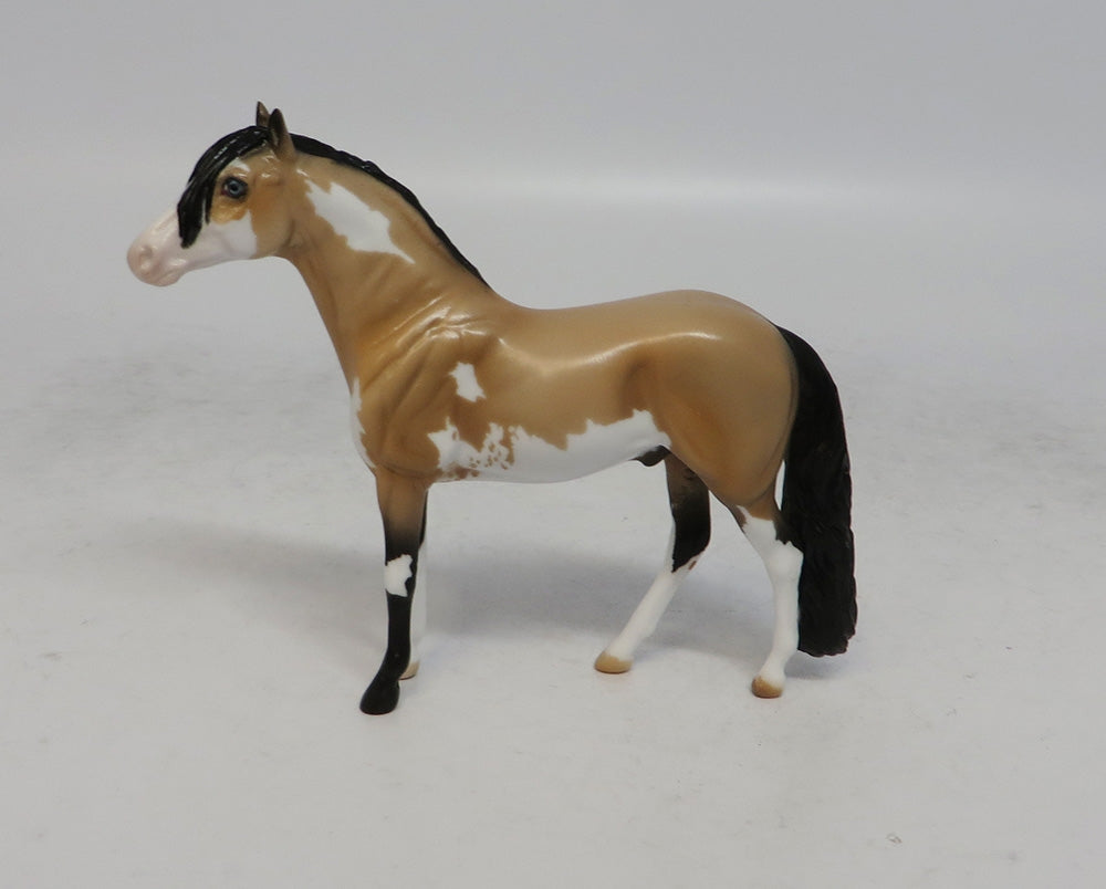 JAMBOREE - LE15 BUCKSKIN PINTO ANDALUSIAN CHIP