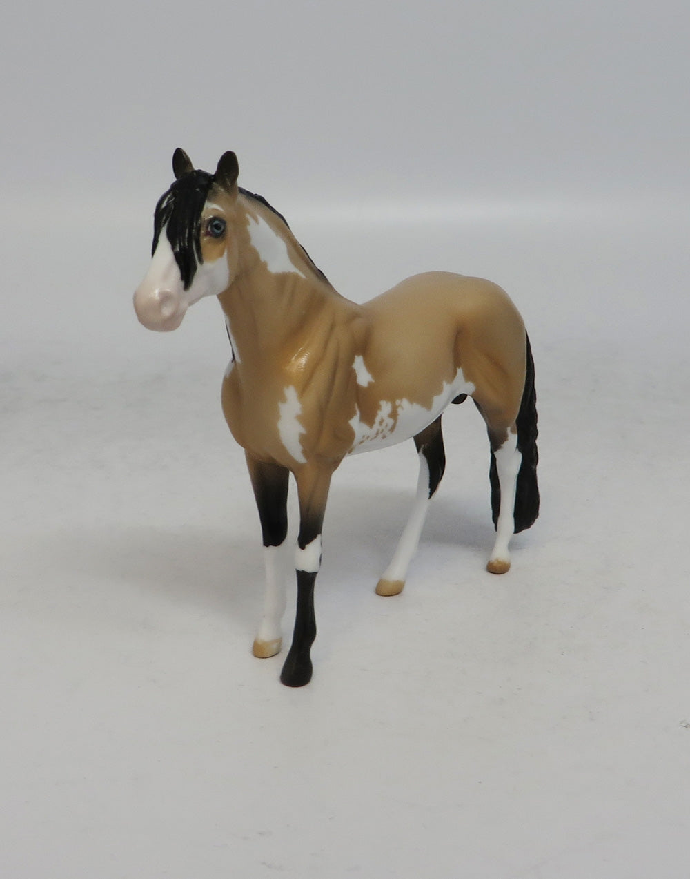 JAMBOREE - LE15 BUCKSKIN PINTO ANDALUSIAN CHIP