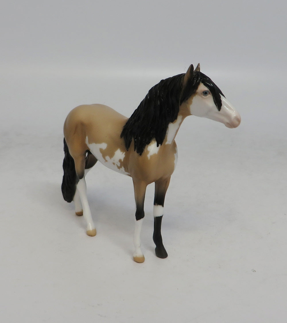 JAMBOREE - LE15 BUCKSKIN PINTO ANDALUSIAN CHIP