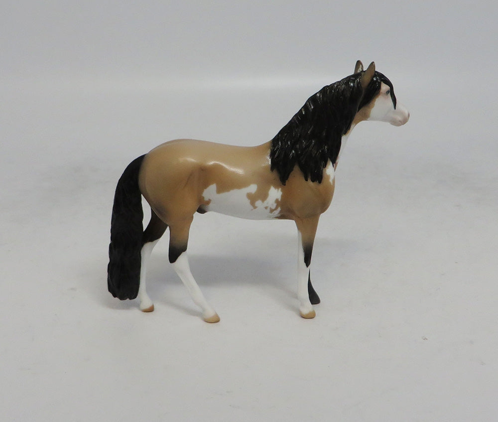 JAMBOREE - LE15 BUCKSKIN PINTO ANDALUSIAN CHIP