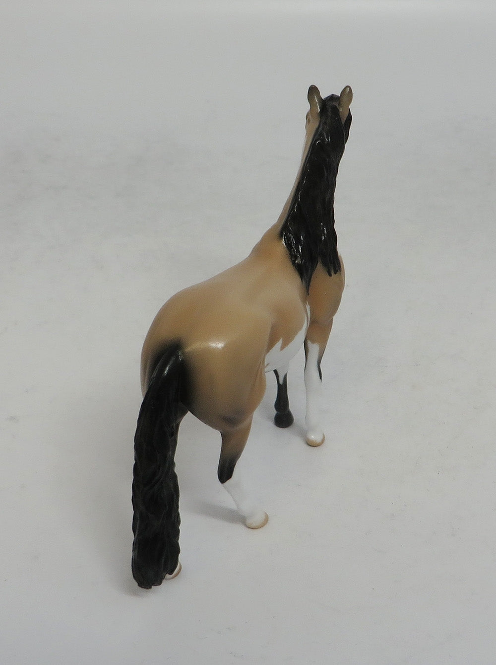 JAMBOREE - LE15 BUCKSKIN PINTO ANDALUSIAN CHIP