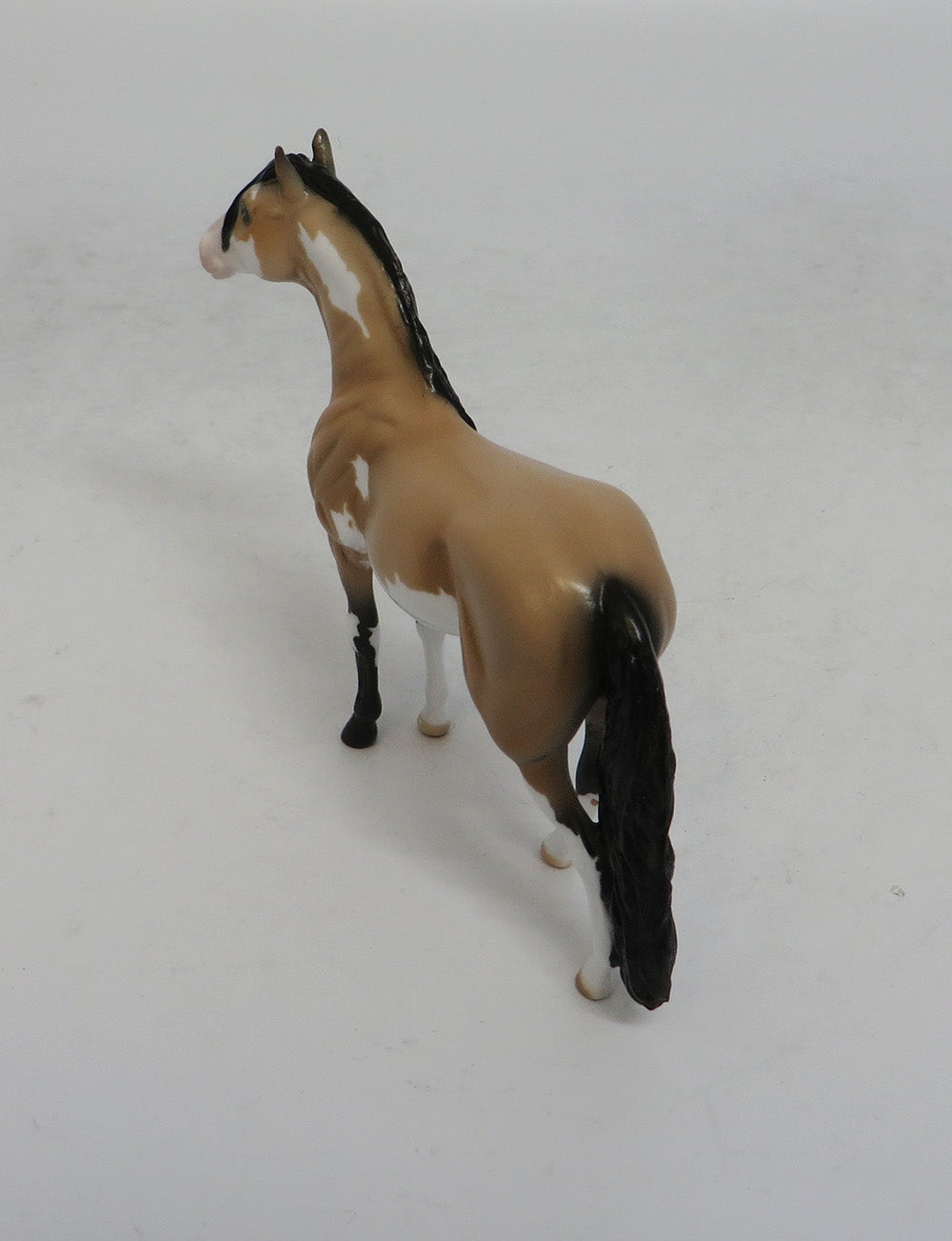 JAMBOREE - LE15 BUCKSKIN PINTO ANDALUSIAN CHIP