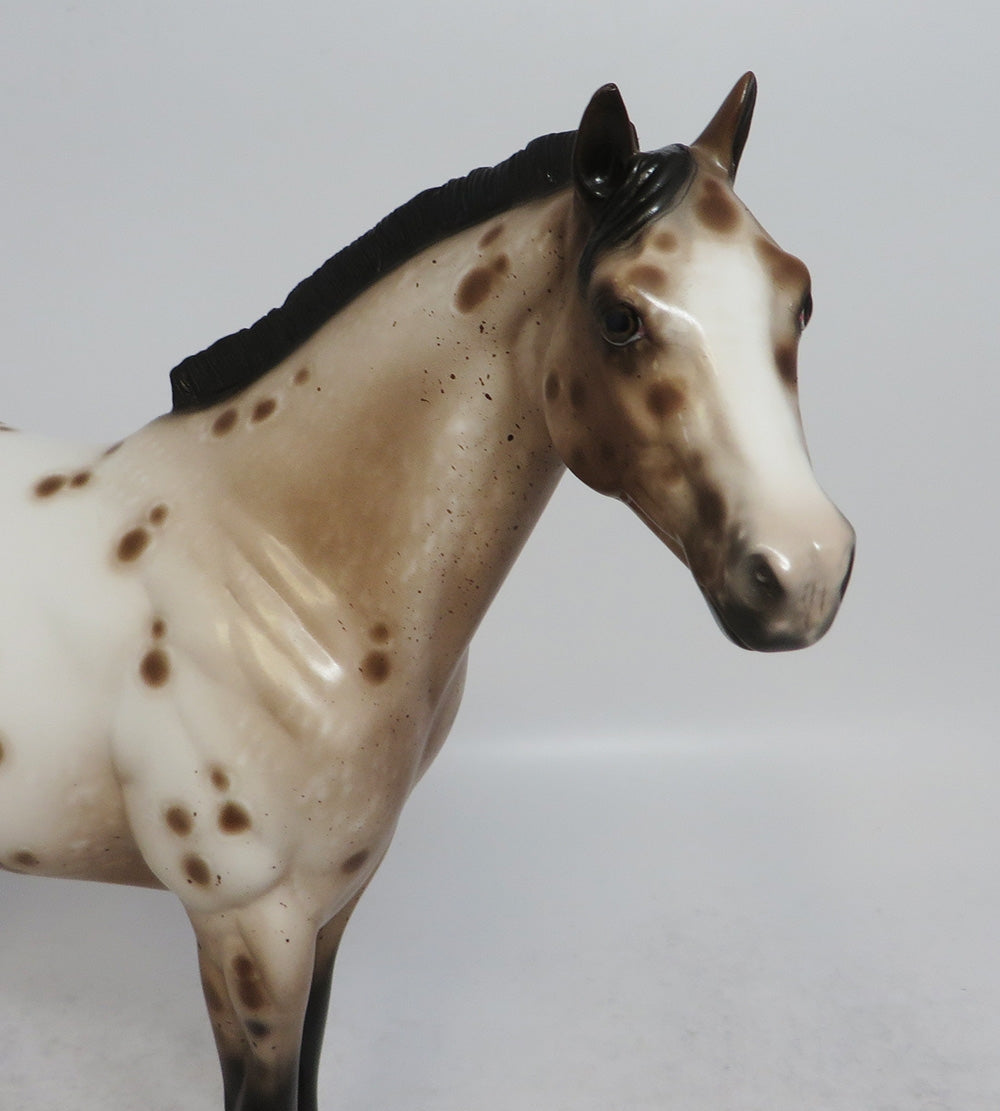 CHIPS AHOY - OOAK BAY APPALOOSA ISH MODEL HORSE BY SHERYL LEISURE