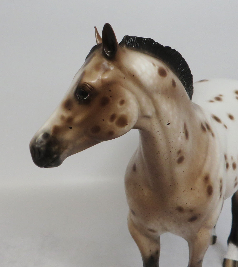 CHIPS AHOY - OOAK BAY APPALOOSA ISH MODEL HORSE BY SHERYL LEISURE