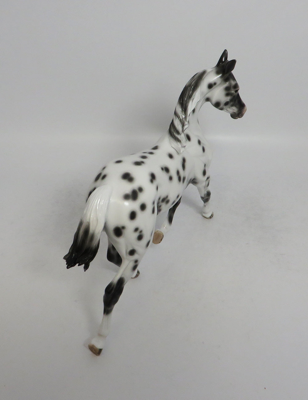 PIROUETTE~OOAK LOUD LEOPARD YEARLING  MODEL HORSE BY SHERYL LEISURE 5/11/18
