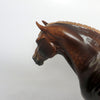 heavy draft mare