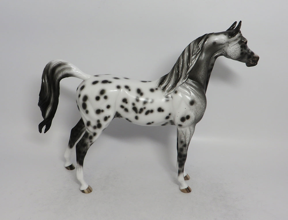 TAHITI-OOAK LEOPARD APPALOOSA ARABIAN MODEL HORSE BY SHERYL LEISURE  5/11/18