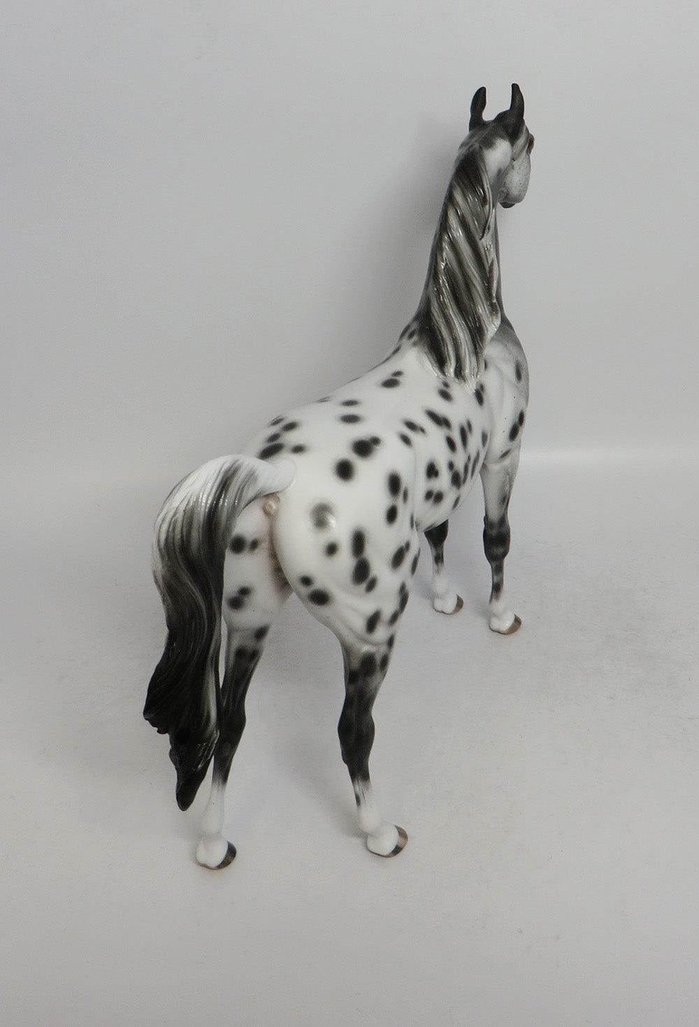 TAHITI-OOAK LEOPARD APPALOOSA ARABIAN MODEL HORSE BY SHERYL LEISURE  5/11/18