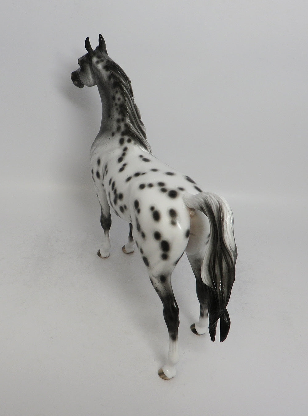TAHITI-OOAK LEOPARD APPALOOSA ARABIAN MODEL HORSE BY SHERYL LEISURE  5/11/18