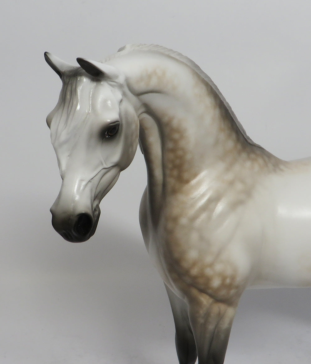 GENEVA-OOAK DAPPLE GREY ARABIAN MODEL HORSE BY SHERYL LEISURE 5/11/18