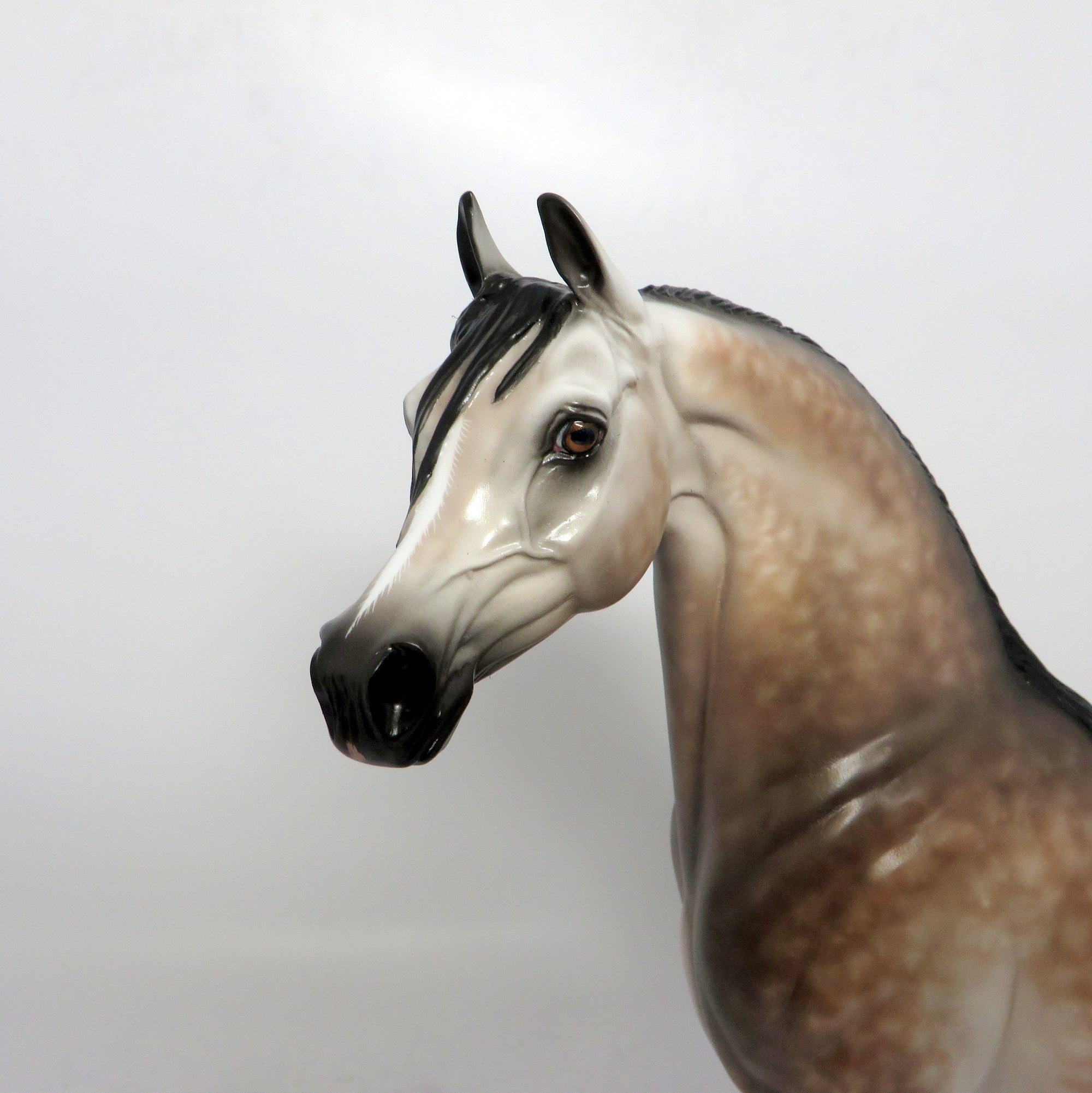 YOU BET YOUR LIFE-OOAK-BAY GOING GREY ARABIAN MODEL HORSE-1/10/19