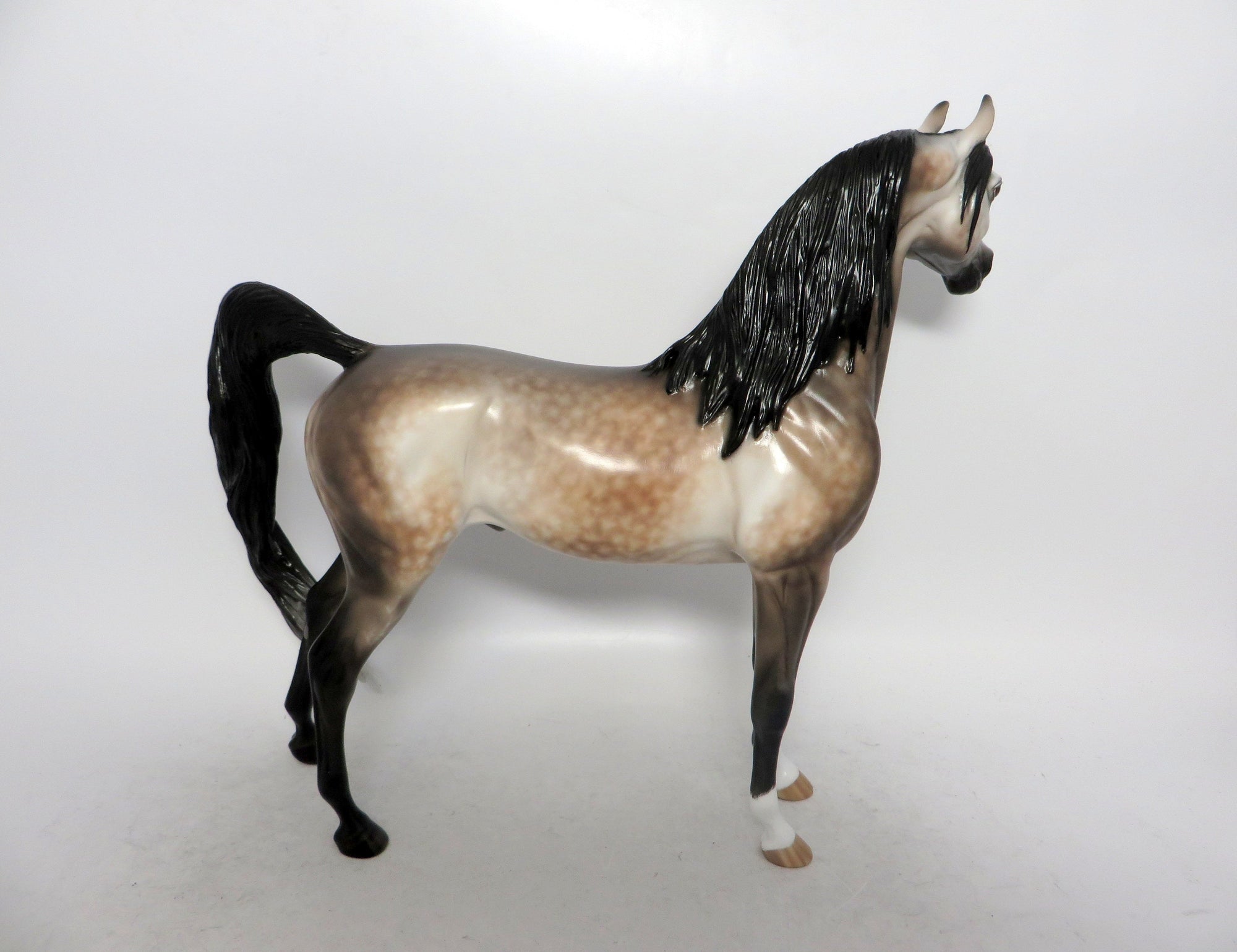 YOU BET YOUR LIFE-OOAK-BAY GOING GREY ARABIAN MODEL HORSE-1/10/19