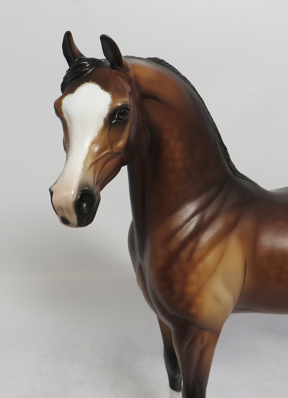 BORDEAUX-OOAK STAR DAPPLE BAY ARABIAN MODEL HORSE BY SHERYL LEISURE 5/11/18