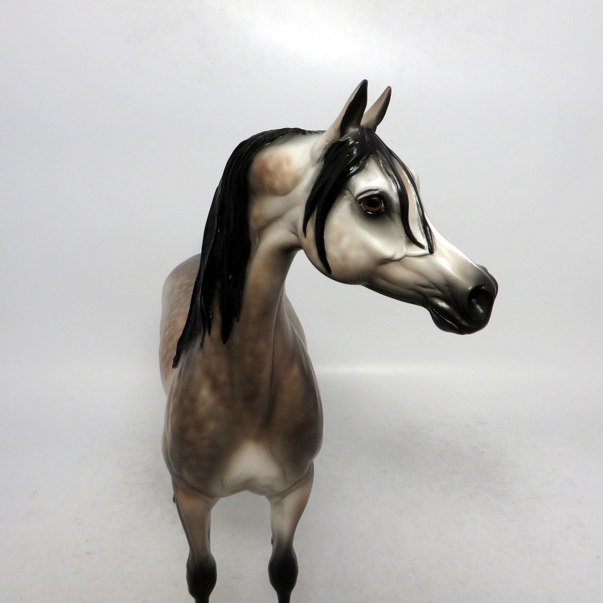 YOU BET YOUR LIFE-OOAK-BAY GOING GREY ARABIAN MODEL HORSE-1/10/19
