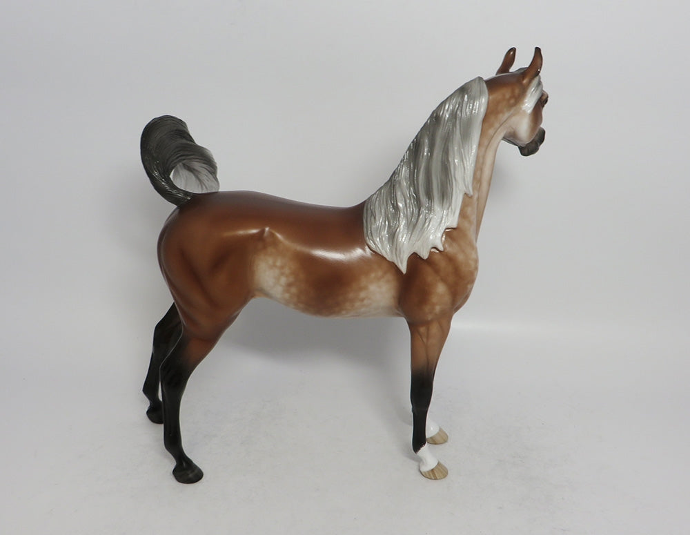 VERONA-OOAK BAY GOING GREY ARABIAN MODEL HORSE BY SHERYL LEISURE 5/11/18