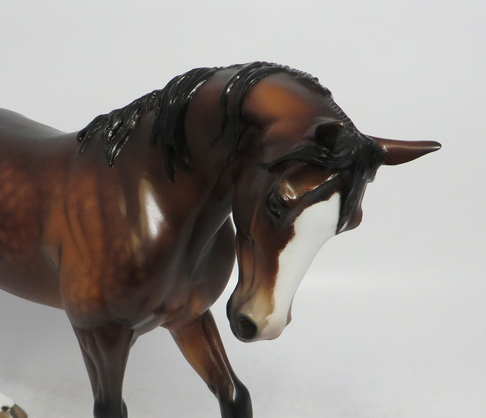 SUASALITO~OOAK STAR DAPPLE BAY THOROUGHBRED MODEL HORSE BY SHERYL LEISURE 5/11/18