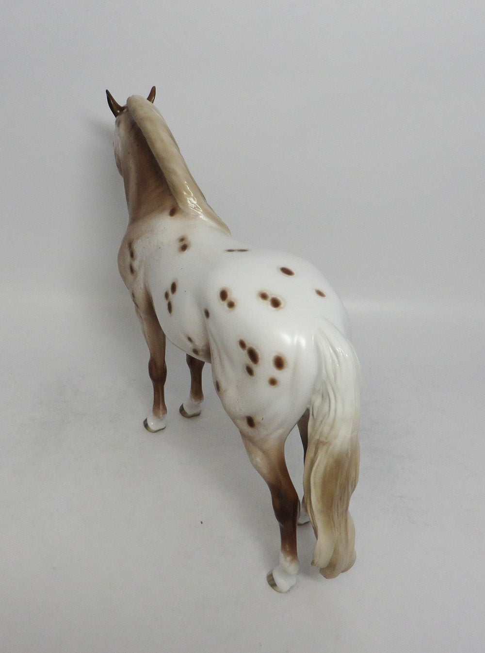 CHESSMAN-OOAK CHESTNUT APPALOOSA ANDALUSIAN MODEL HORSE BY SHERYL LEISURE 5/11/18