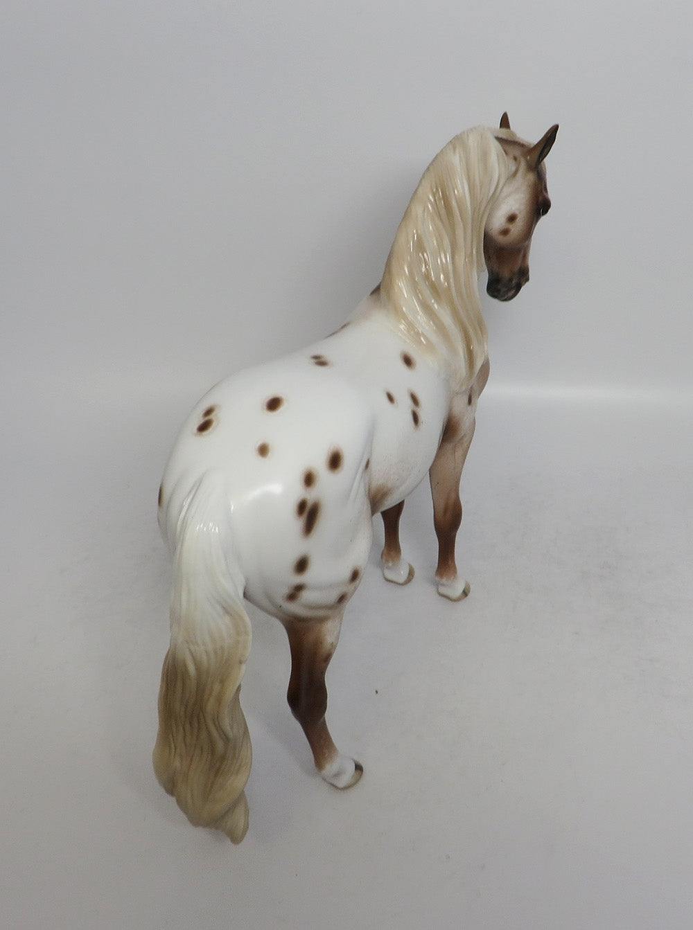 CHESSMAN-OOAK CHESTNUT APPALOOSA ANDALUSIAN MODEL HORSE BY SHERYL LEISURE 5/11/18