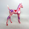 arabian foal 