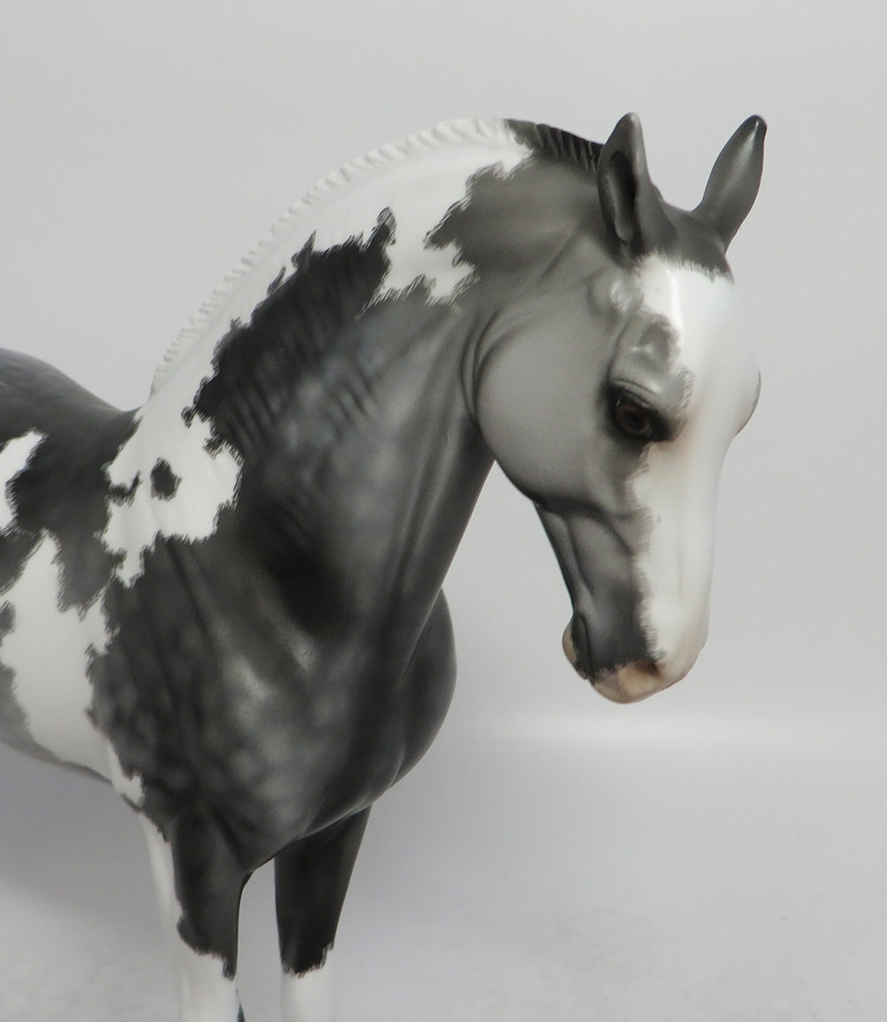 STAR DAPPLE GREY PAINT