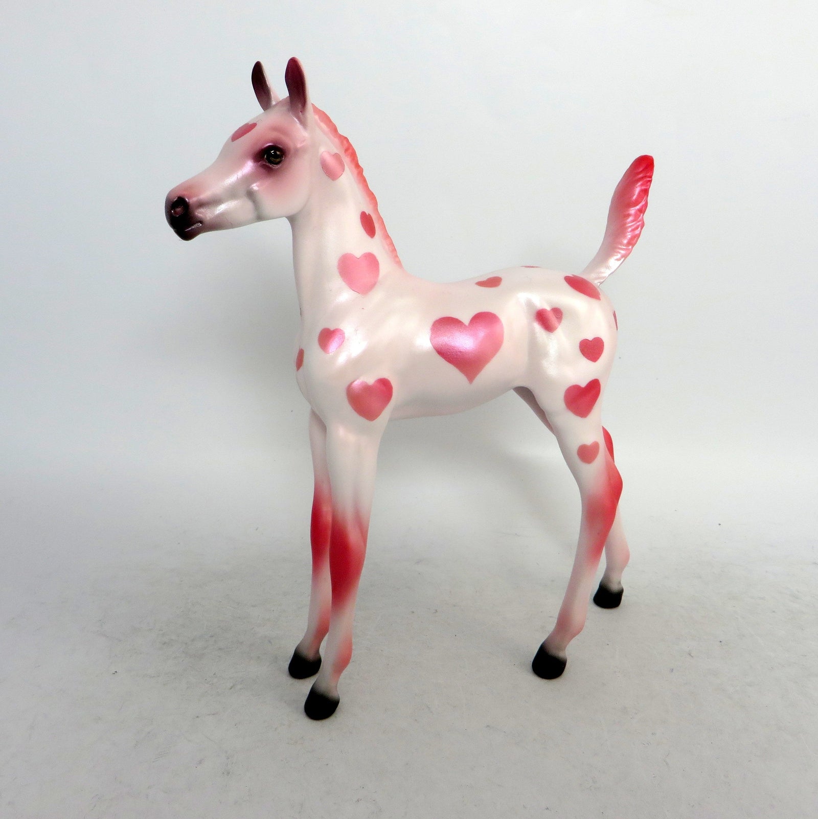 valentine foal 
