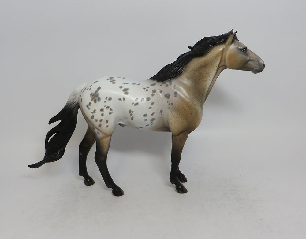 WOODSTOCK-OOAK BUCKSKIN APPALOOSA SPANISH MUSTANG 5/17/18