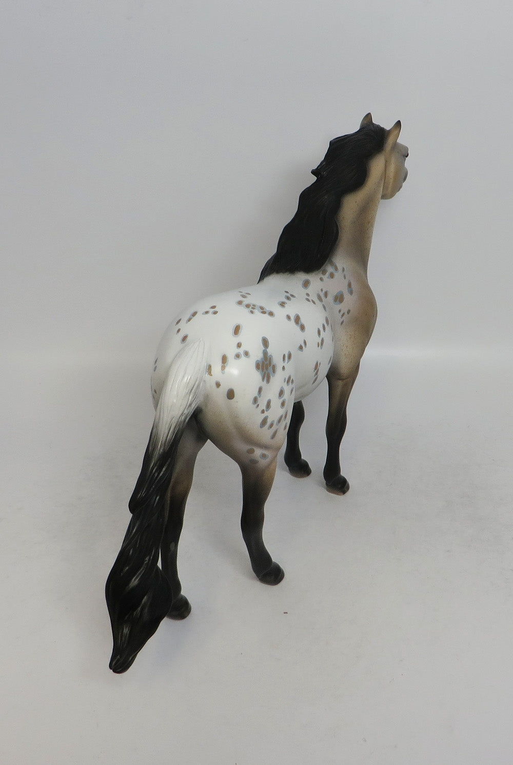 WOODSTOCK-OOAK BUCKSKIN APPALOOSA SPANISH MUSTANG 5/17/18