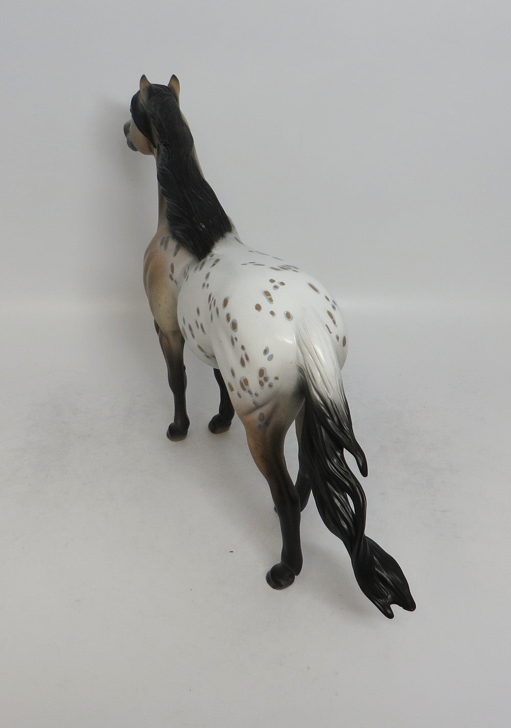 WOODSTOCK-OOAK BUCKSKIN APPALOOSA SPANISH MUSTANG 5/17/18