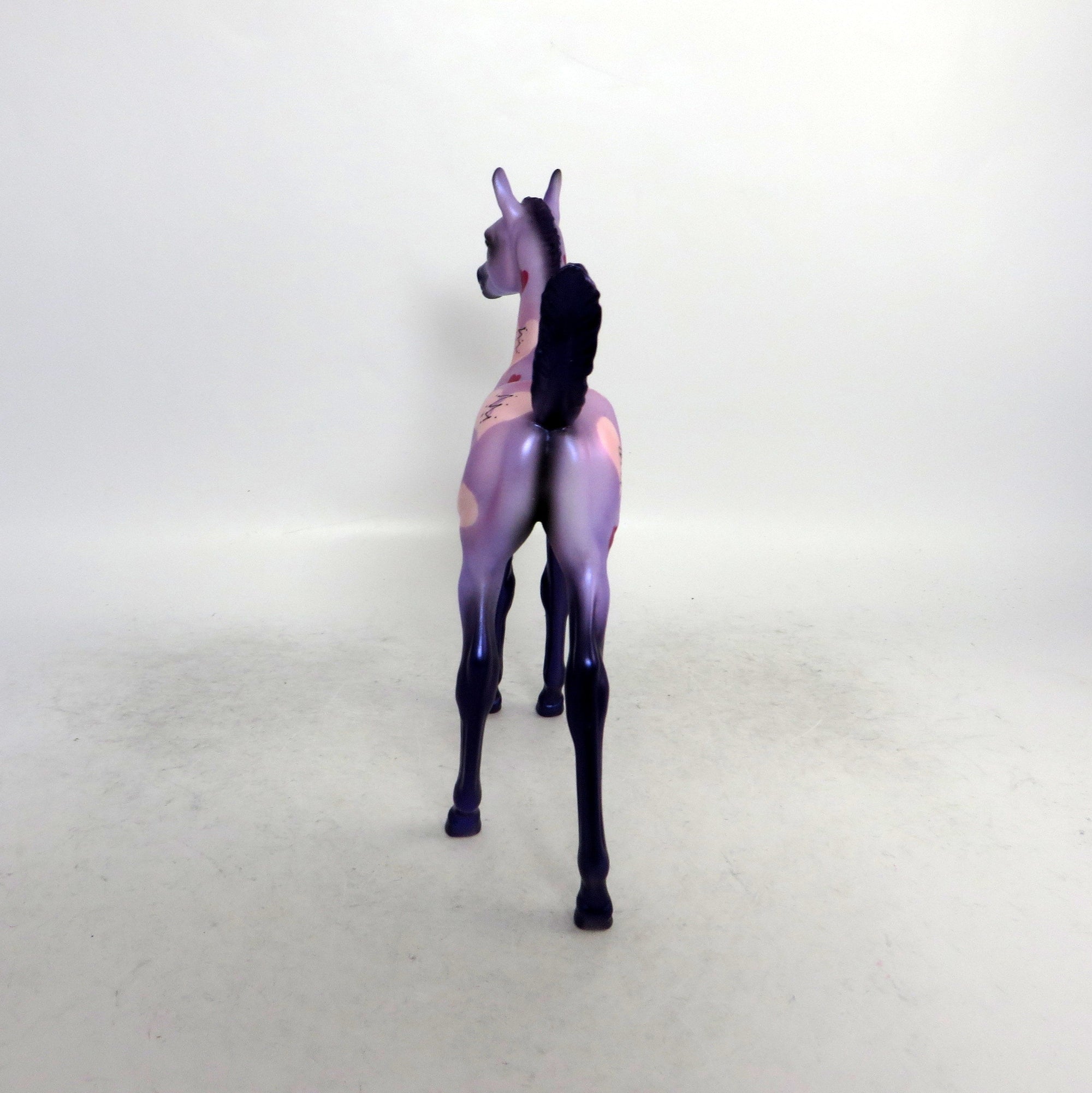 purple foal