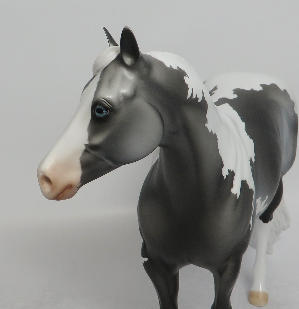 BOBBLES AND BOWS~OOAK DAPPLE GREY PINTO ISH MODEL HORSE BY DAWN QUICK 5/17/18