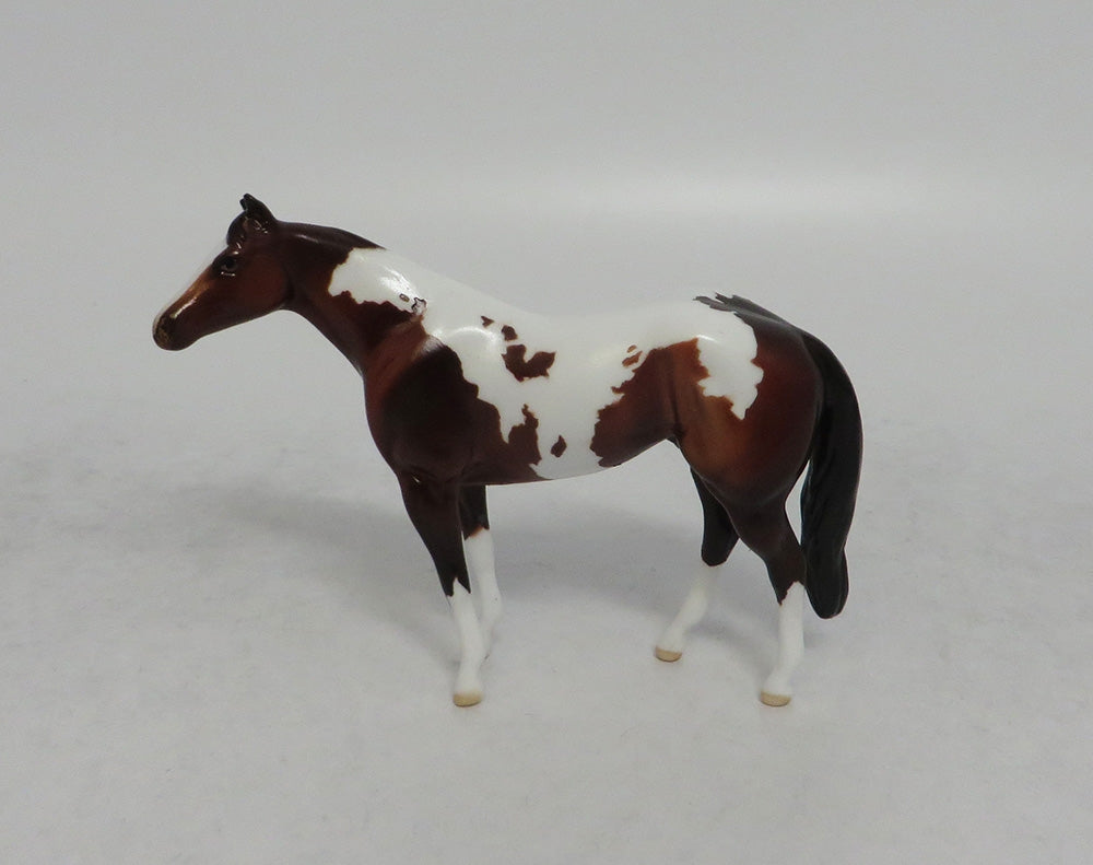 REMI - OOAK BAY PINTO STOCK HORSE CHIP