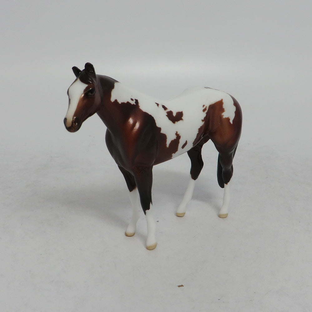 REMI - OOAK BAY PINTO STOCK HORSE CHIP