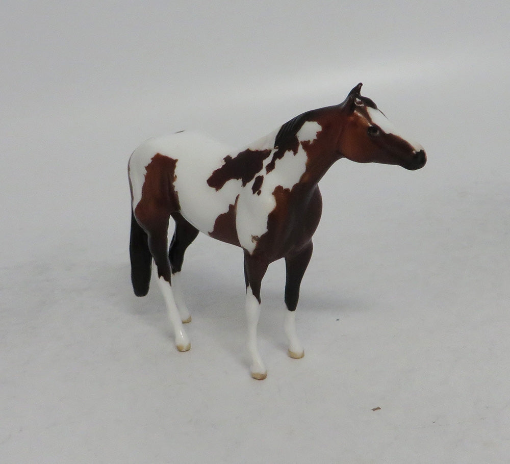 REMI - OOAK BAY PINTO STOCK HORSE CHIP