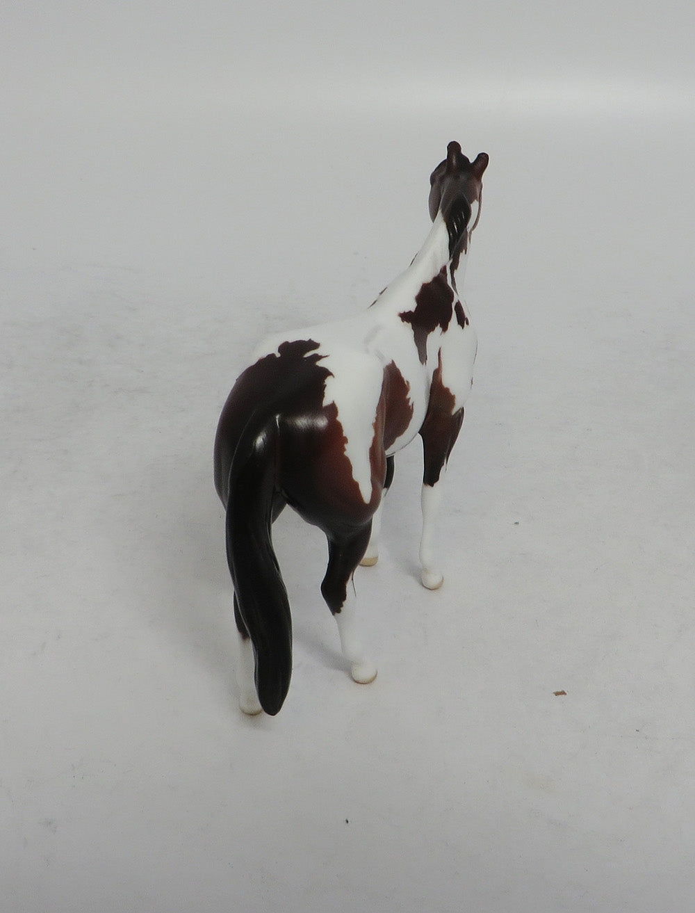 REMI - OOAK BAY PINTO STOCK HORSE CHIP