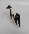 REMI - OOAK BAY PINTO STOCK HORSE CHIP