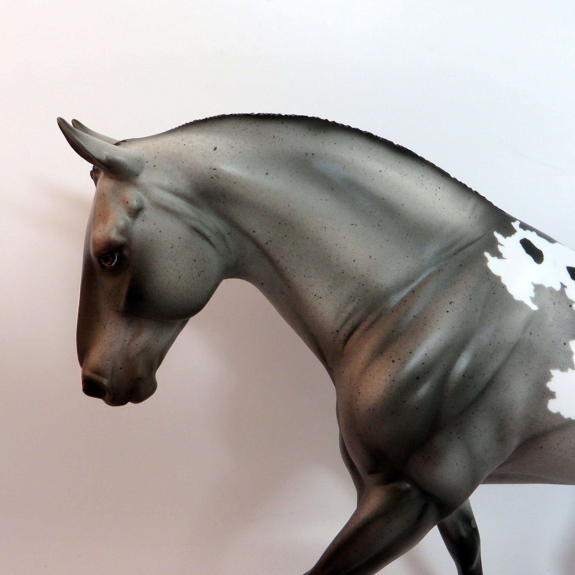 BOOTLEG-LE-7 GRAY APPALOOSA IRISH DRAFT MODEL HORSE SB 2019