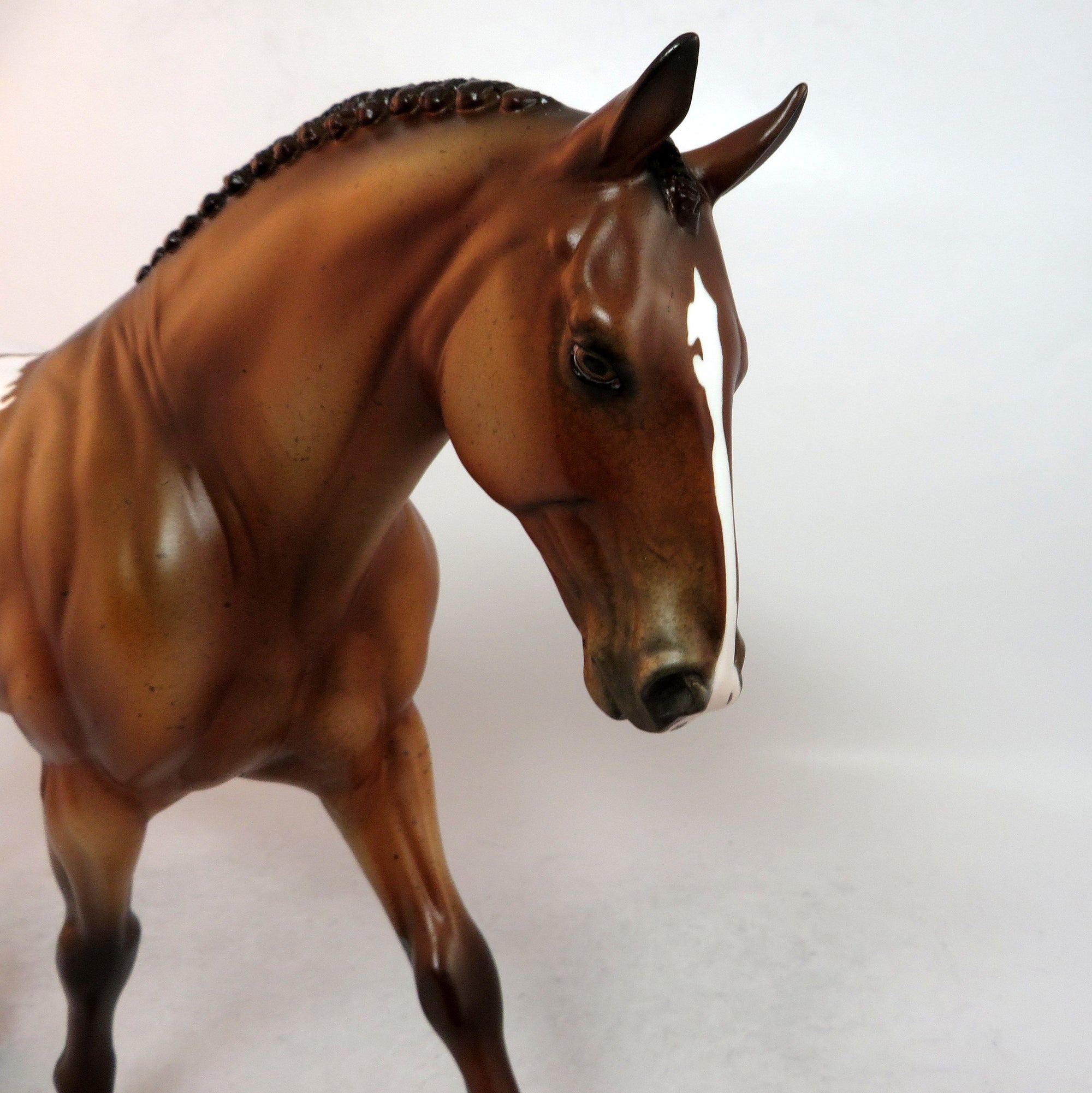 LONGEST YARD-LE-7 CHESTNUT APPALOOSA IRISH DRAFT MODEL HORSE SB 2019