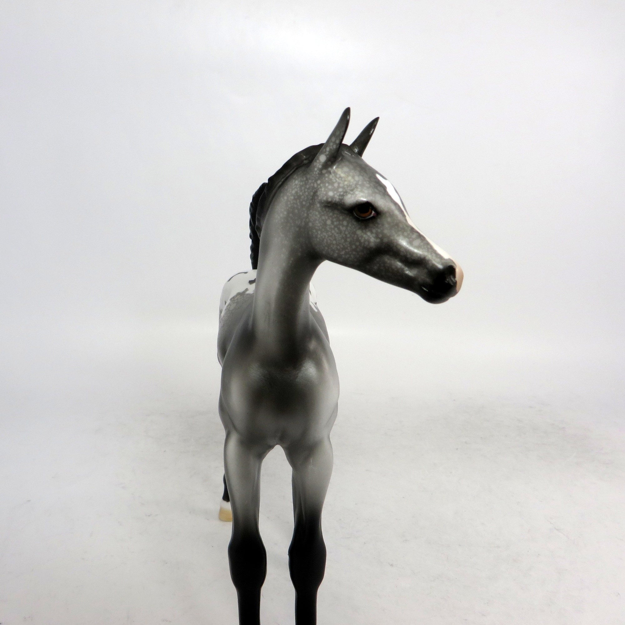 FIELD GOAL-LE-9 APPALOOSA FOAL MODEL HORSE SB 2019