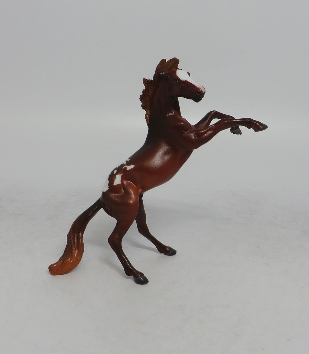 CHILI - OOAK CHESTNUT APPALOOSA REARING CHIP