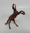 CHILI - OOAK CHESTNUT APPALOOSA REARING CHIP