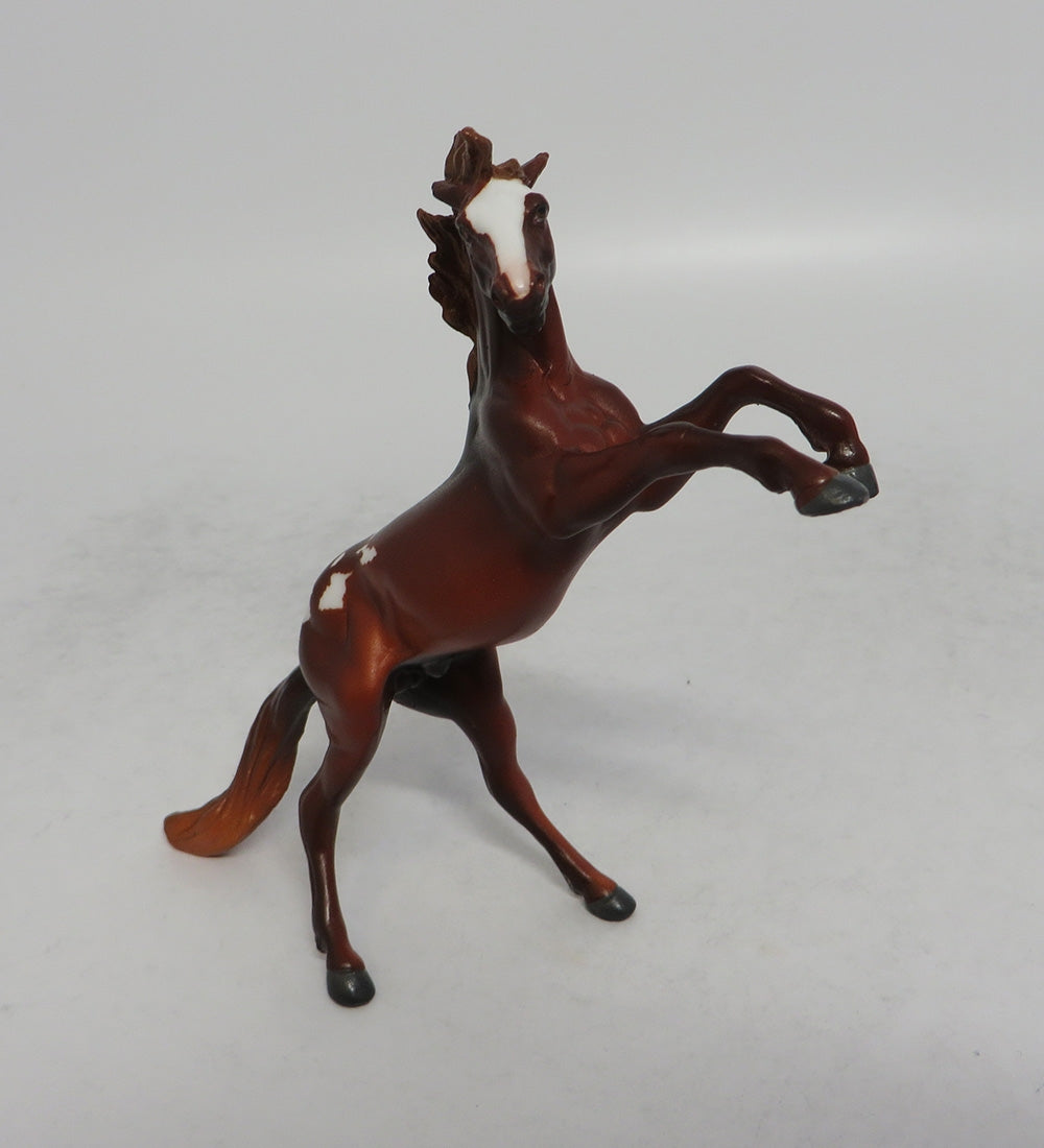 CHILI - OOAK CHESTNUT APPALOOSA REARING CHIP