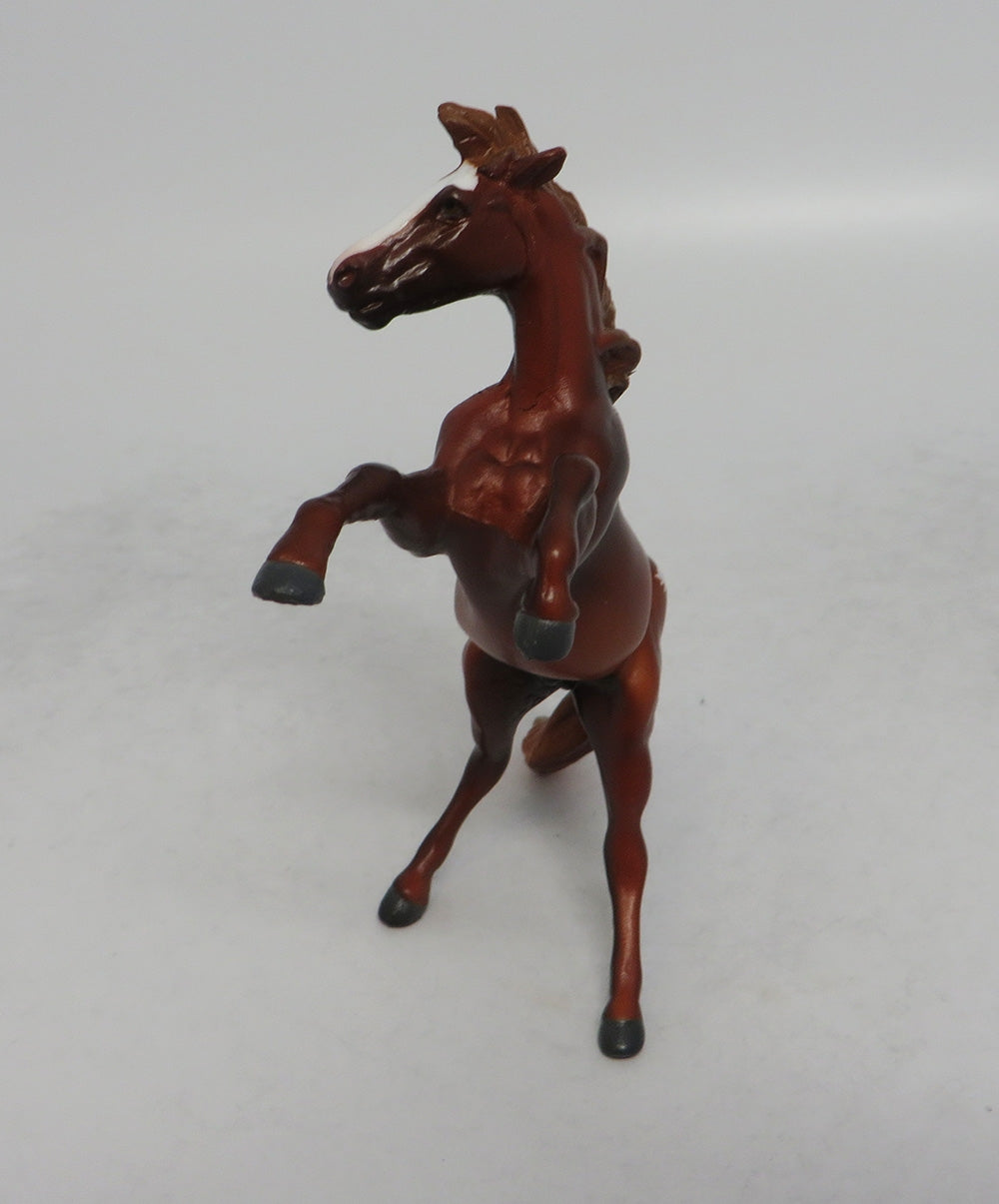 CHILI - OOAK CHESTNUT APPALOOSA REARING CHIP