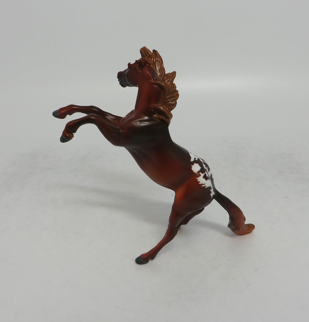 CHILI - OOAK CHESTNUT APPALOOSA REARING CHIP