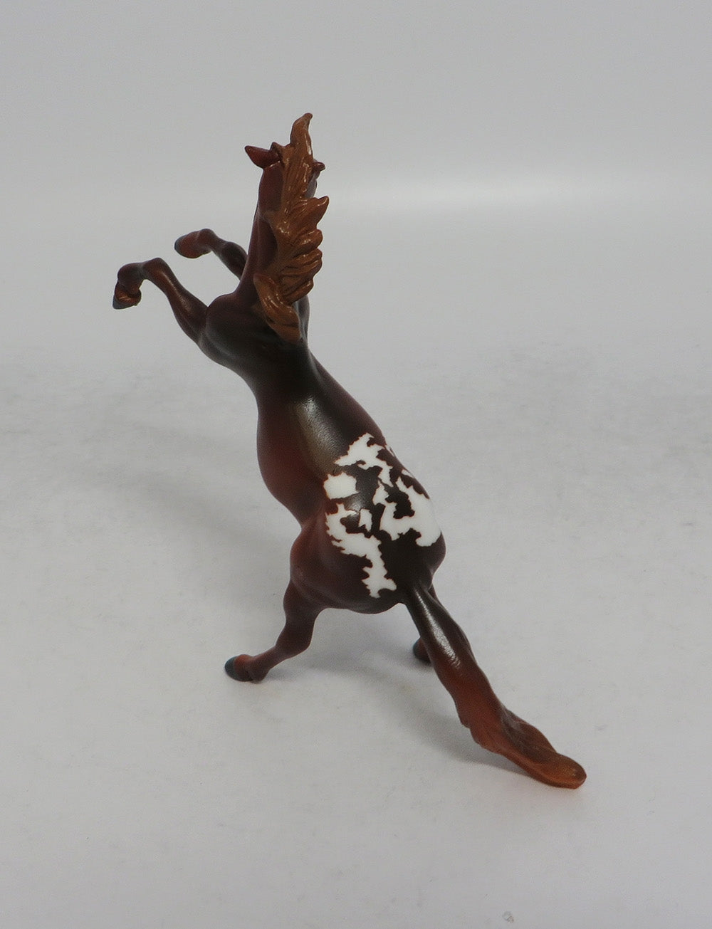 CHILI - OOAK CHESTNUT APPALOOSA REARING CHIP