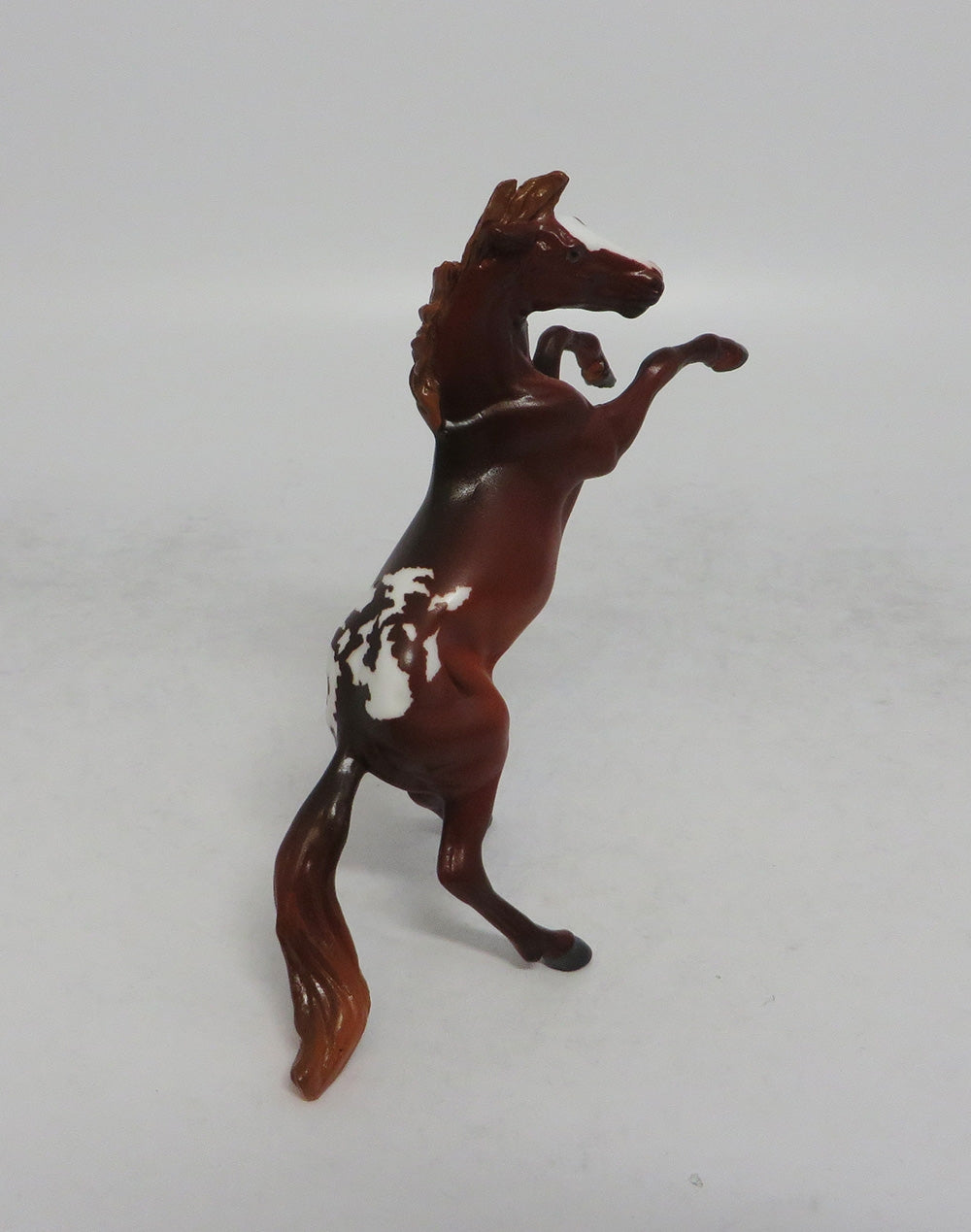 CHILI - OOAK CHESTNUT APPALOOSA REARING CHIP
