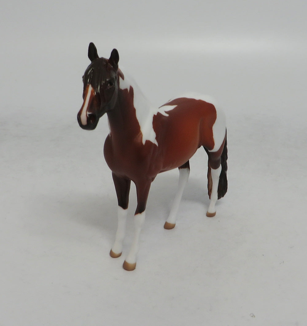 CARROT TOP - OOAK CHESTNUT PINTO ANDALUSIAN CHIP