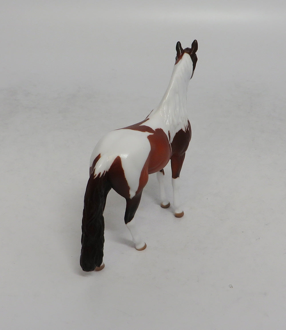 CARROT TOP - OOAK CHESTNUT PINTO ANDALUSIAN CHIP