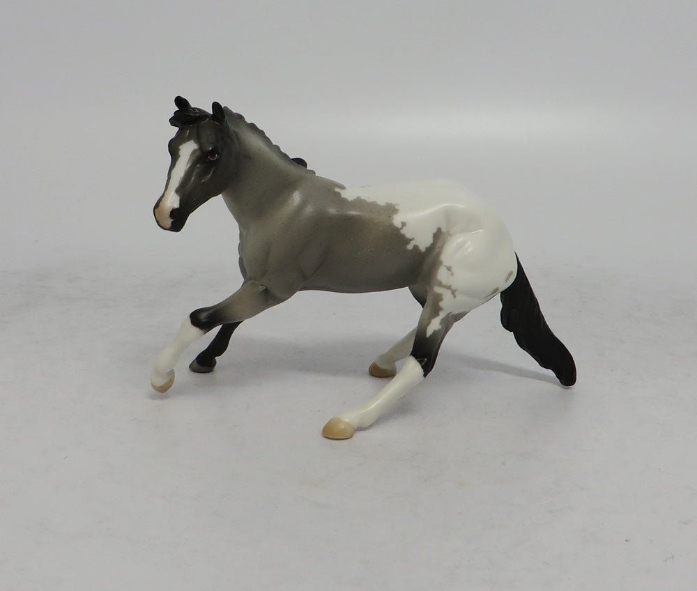 DRUM SOLO - OOAK BLUE ROAN APPALOOSA CUTTER  CHIP